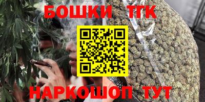 индика Бердск