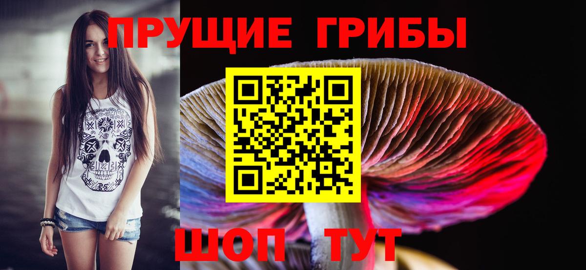 Галлюциногенные грибы прущие грибы Ачхой-Мартан